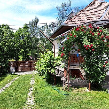 Casa De Vacanta Zsenik Vendeghaz Sovata Exteriér fotografie