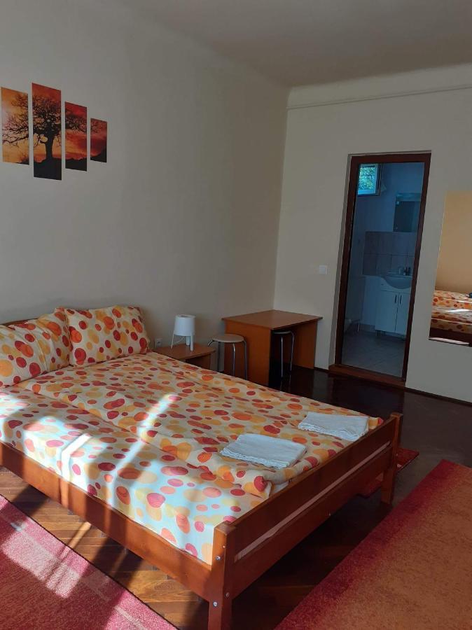 Casa De Vacanta Zsenik Vendeghaz Sovata Exteriér fotografie