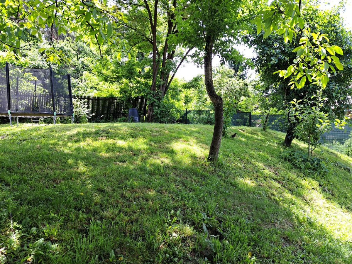 Casa De Vacanta Zsenik Vendeghaz Sovata Exteriér fotografie